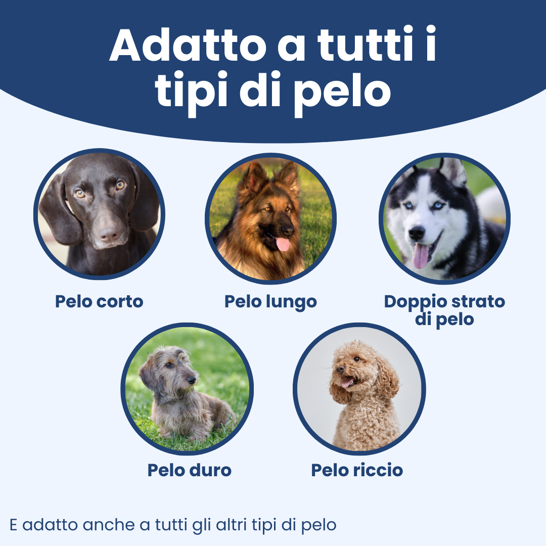 SpazzolaPro 2.0 anti-peli